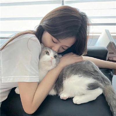 便当盒里的小秘密
